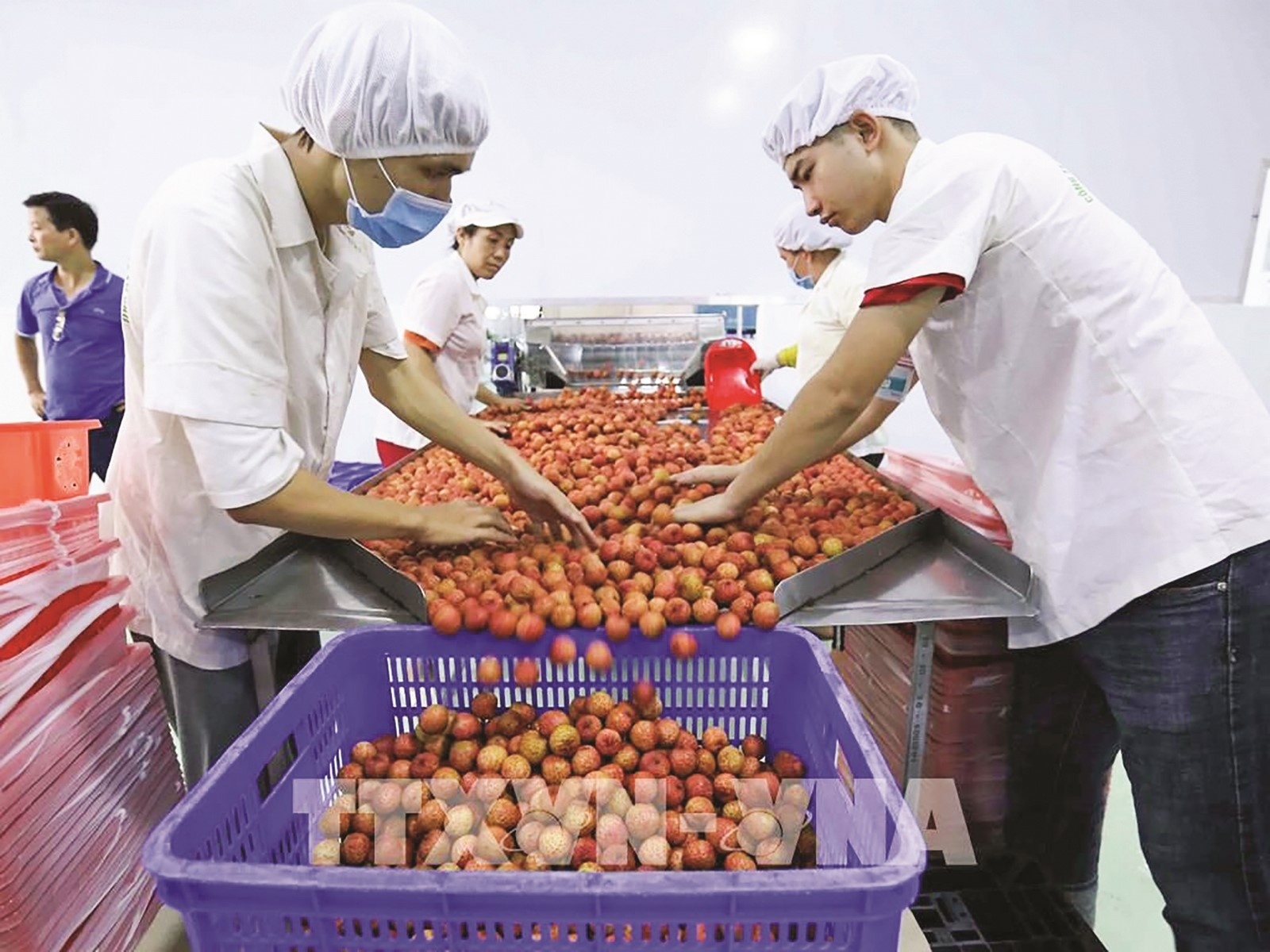 chu dong tan dung co hoi giua bat on