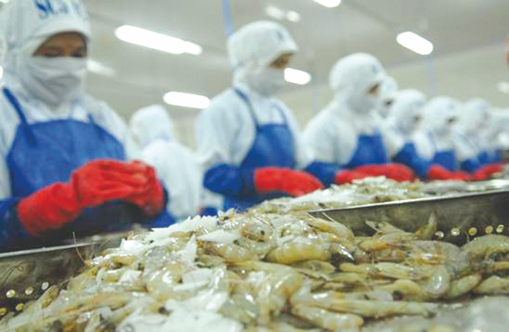 dau tu vao co phieu nao trong nam moi