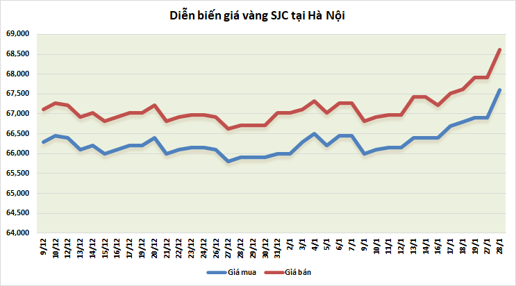 gia vang tuan toi chuyen gia khuyen nha dau tu than trong