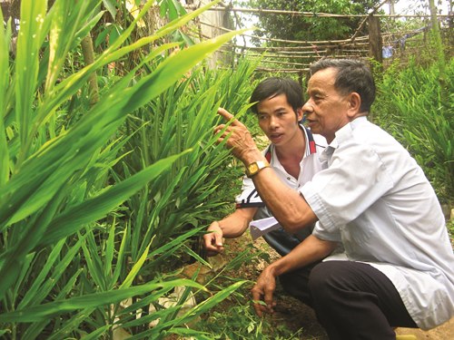 Tâm sự “ba cùng” của nhân viên tín dụng