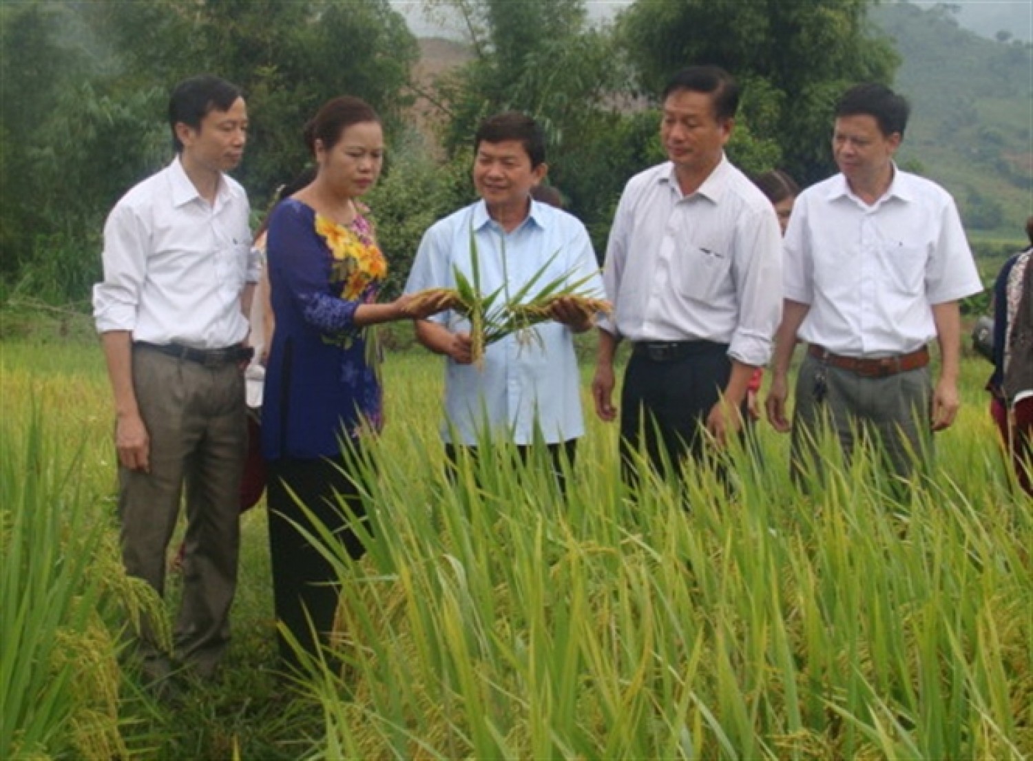 Văn Chấn phát huy nội lực Văn Chấn phát huy nội lực