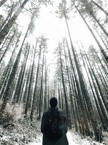 Ốp lưng và phụ kiện ống kính độc đáo cho iPhone 7/7 Plus