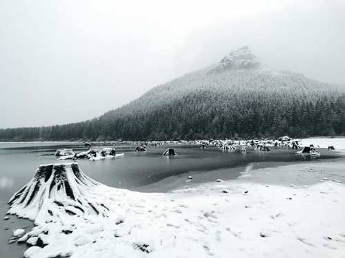 Ốp lưng và phụ kiện ống kính độc đáo cho iPhone 7/7 Plus