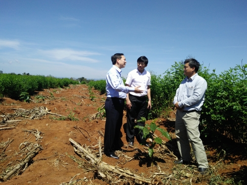 Chắt chiu từng “giọt đắng” Tây Nguyên