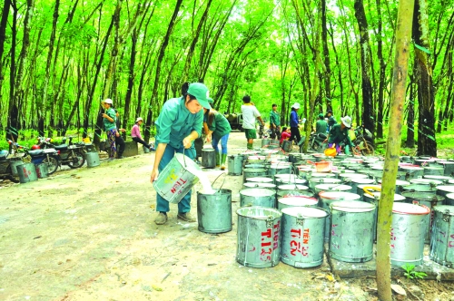 Tăng chất cho đầu tư ra nước ngoài