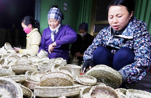 Dựng cơ nghiệp lớn từ đồng vốn chính sách