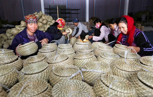 Dựng cơ nghiệp lớn từ đồng vốn chính sách