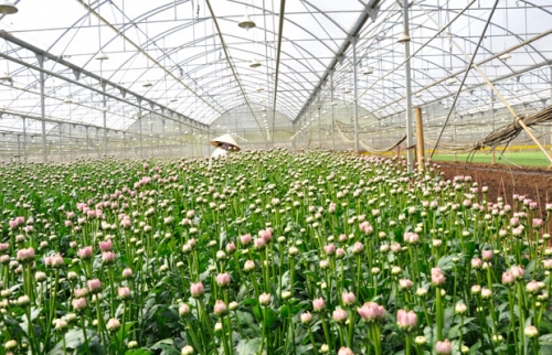 Trả lời kiến nghị về vay vốn tín dụng phát triển nông nghiệp công nghệ cao