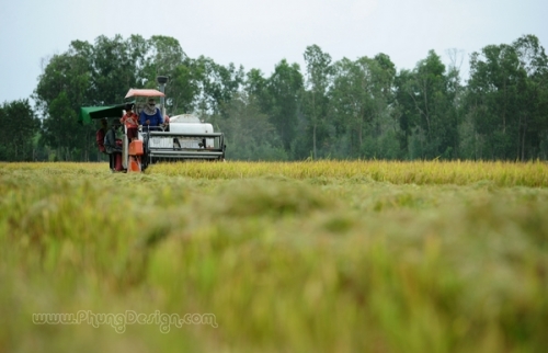 Chuyển mục đích sử dụng đất tại 2 tỉnh Nam Định và Hải Dương
