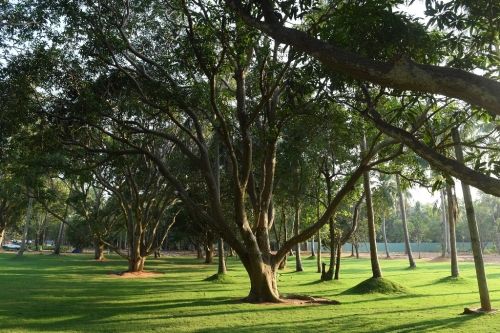 Tuyến cáp treo dài nhất thế giới chính thức khai trương tại Phú Quốc