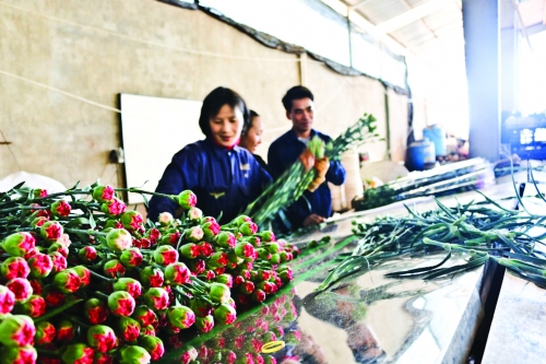 Trúng mùa từ vốn rẻ tam nông