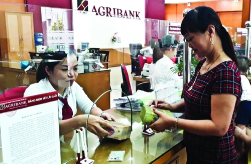 Trúng mùa từ vốn rẻ tam nông