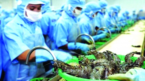 Để dòng tín dụng chảy đúng hướng