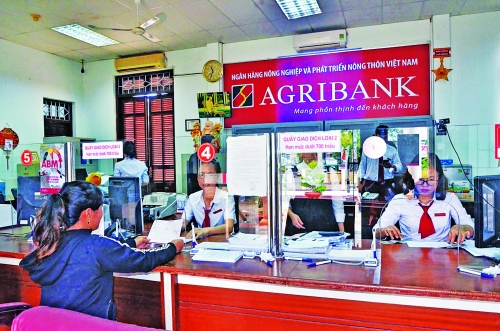 Từ mô hình liên kết chuỗi đến kỳ vọng chuyển dịch cơ cấu nông nghiệp