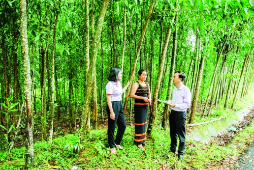 Thay đổi tư duy-thay đổi cuộc sống