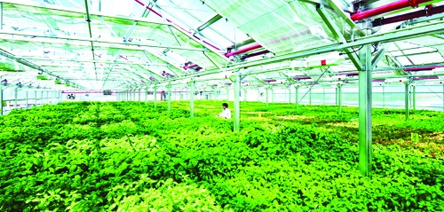 Cần tạo thêm thuận lợi cho doanh nghiệp nông nghiệp