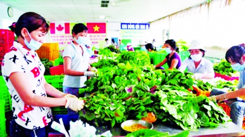 Phát huy thế mạnh làng nghề Phát huy thế mạnh làng nghề