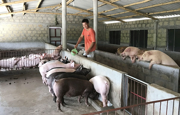 tin dung chinh sach xa hoi sang tinh dang am long dan bai 2