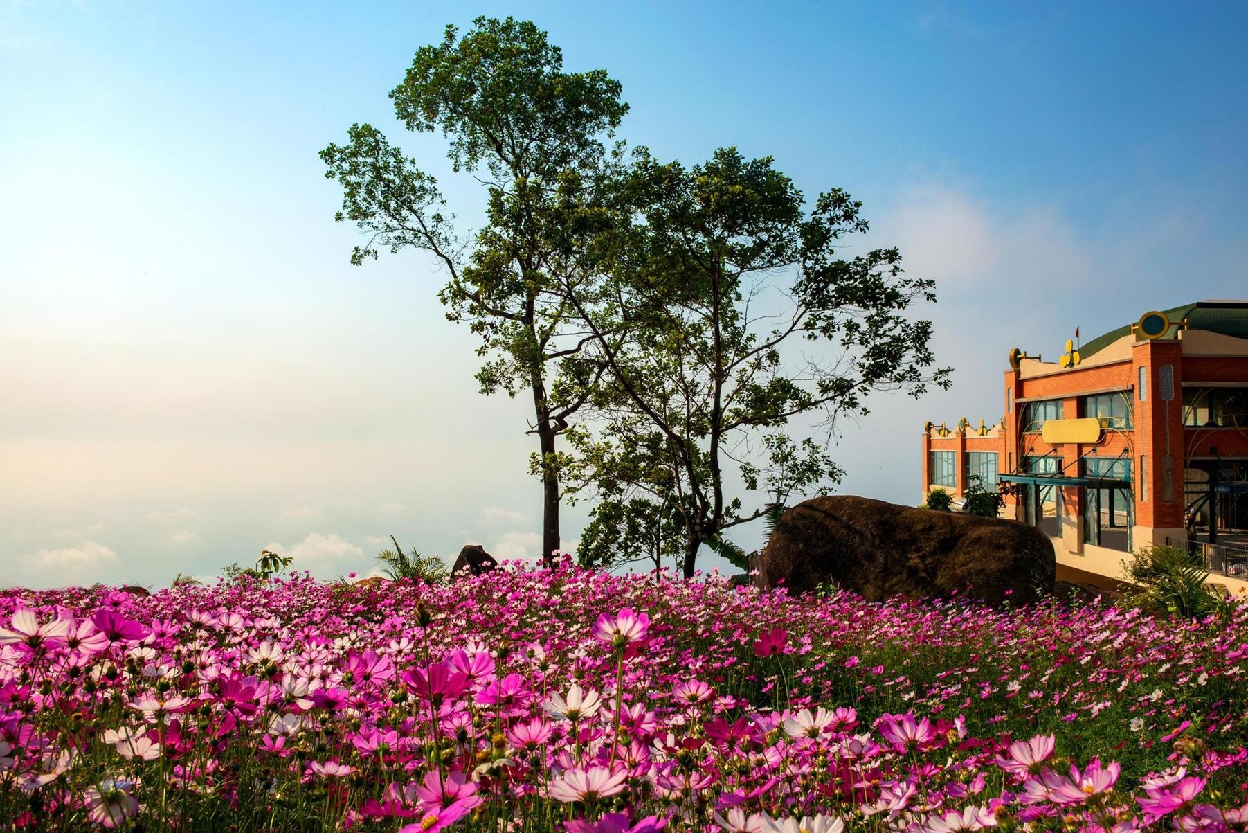 sun group khai truong he thong cap treo hien dai tai nui ba den tay ninh