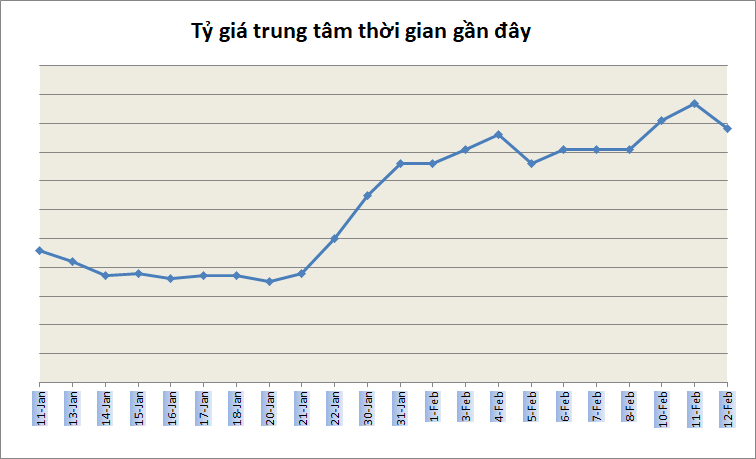 Tỷ giá ngày 12/2: Giảm nhẹ