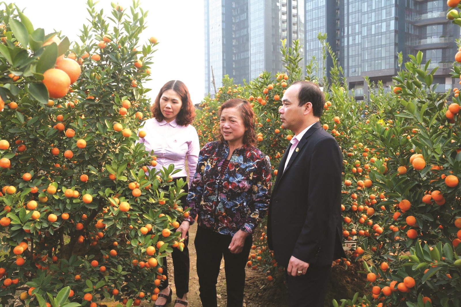 von uu dai hoa chung nhip dap kinh te vung ven do