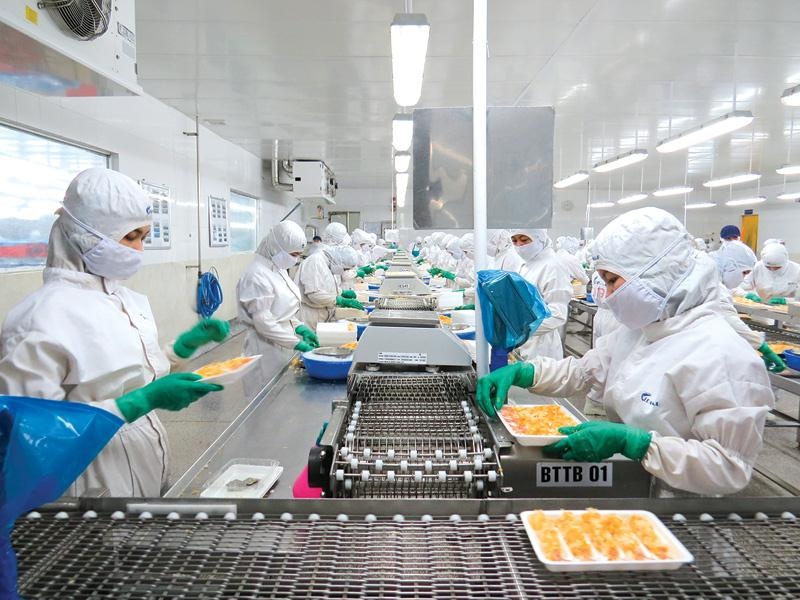 Doanh nghiệp thủy sản đón tín hiệu tốt đầu năm doanh nghiep thuy san don tin hieu tot dau nam