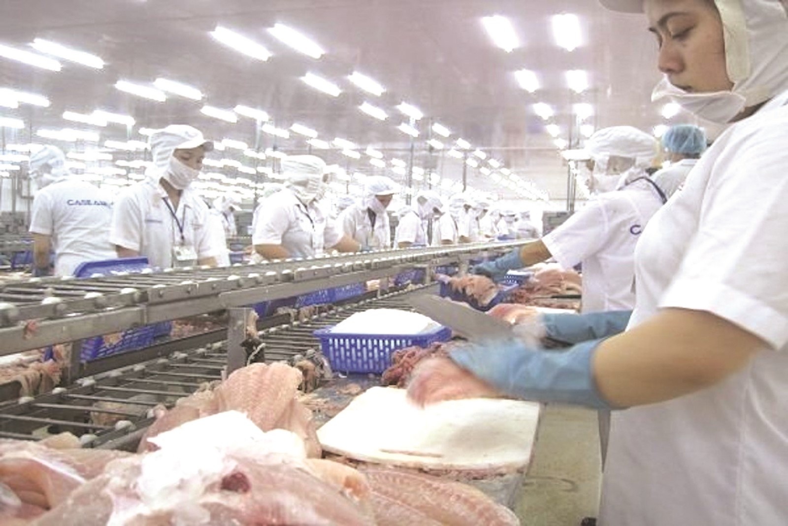 thuy san doi don hang