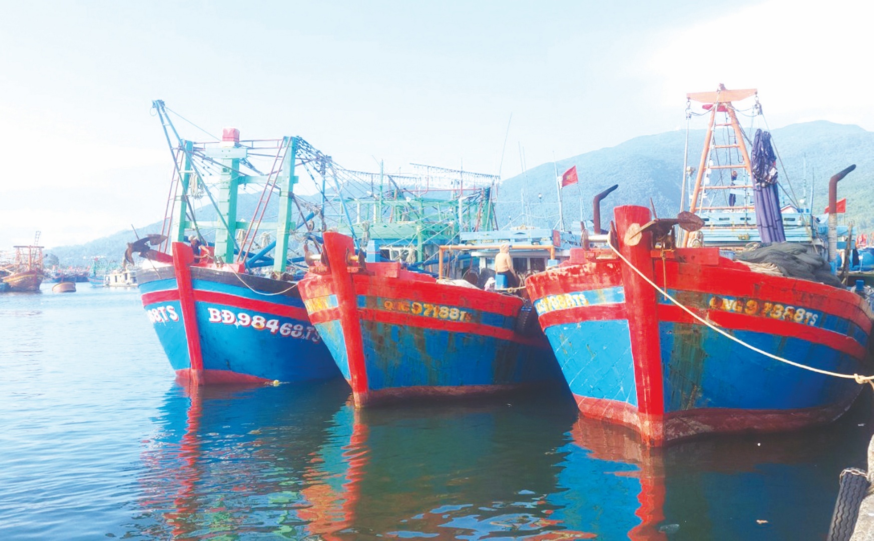 mien trung gop suc lay lai the xanh