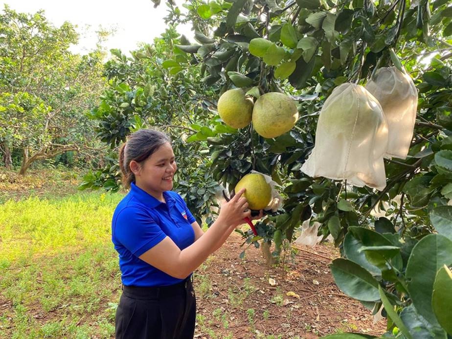 nganh ngan hang quang tri dong hanh cung nguoi dan doanh nghiep phat trien kinh te