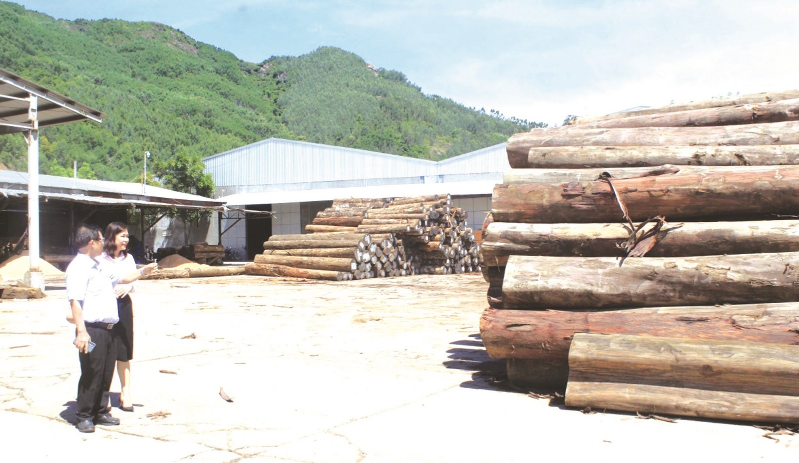 dong von huong vao san xuat kinh doanh