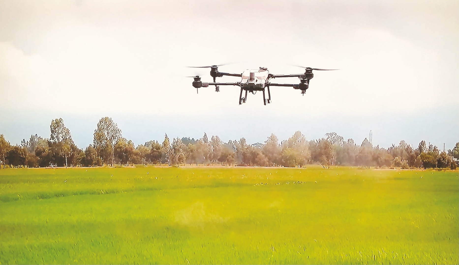 ai va cu hich cho doanh nghiep nho va vua