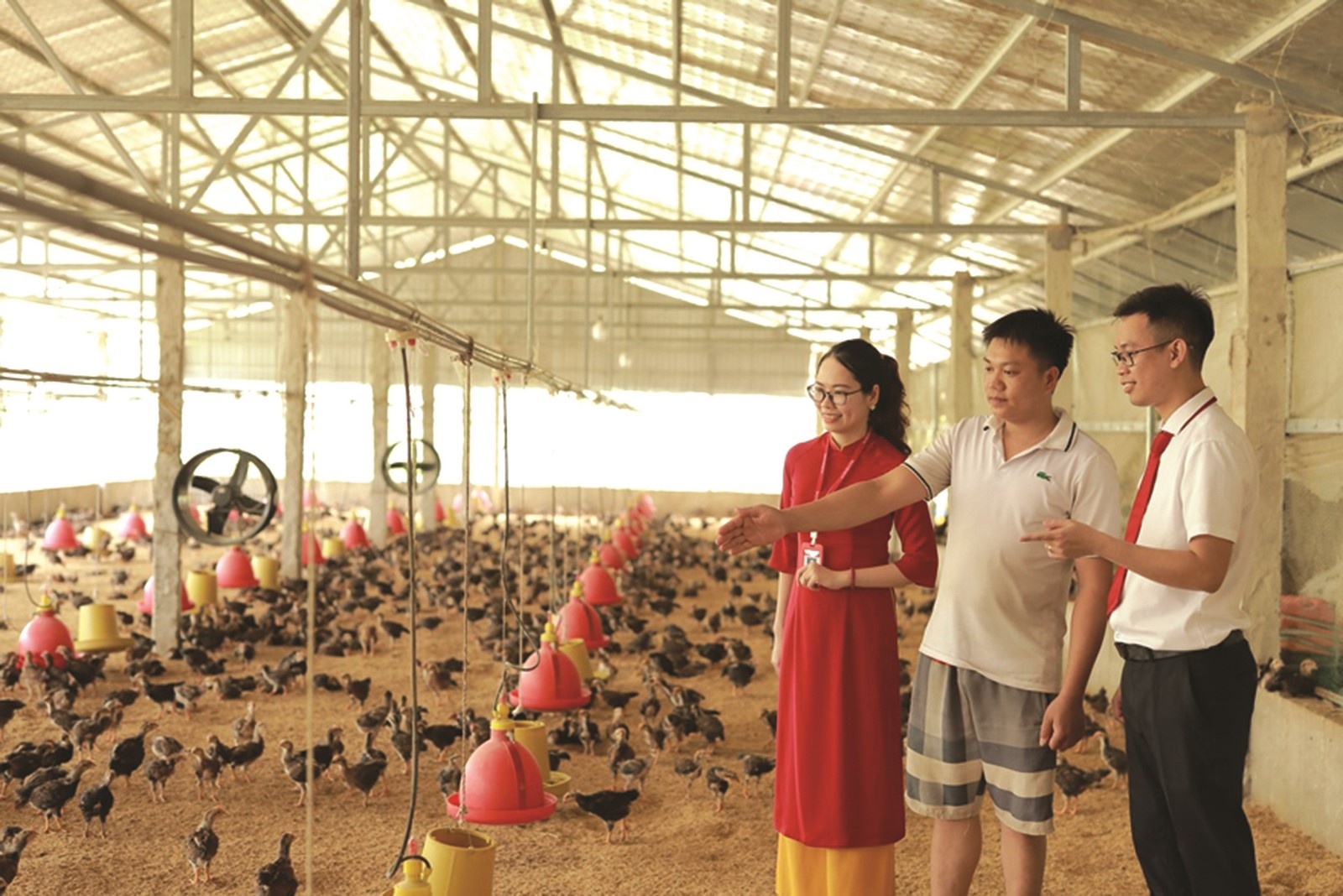 chia lua cung doanh nghiep