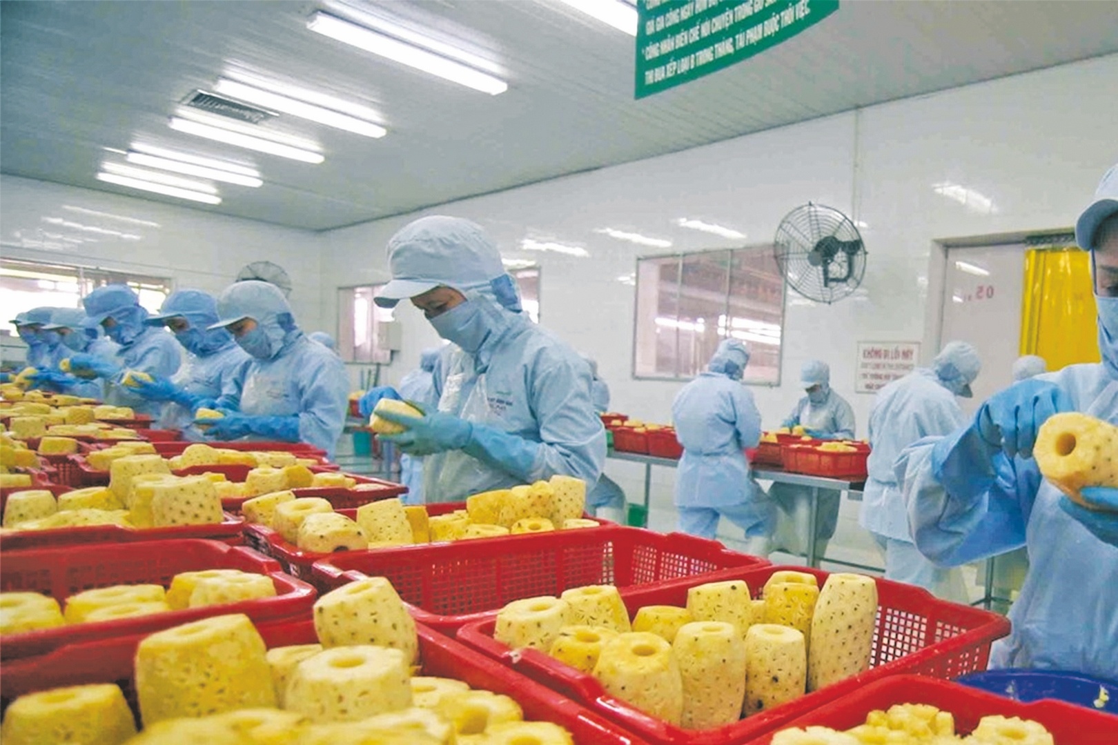 xuat khau rau qua che bien co nhieu tiem nang