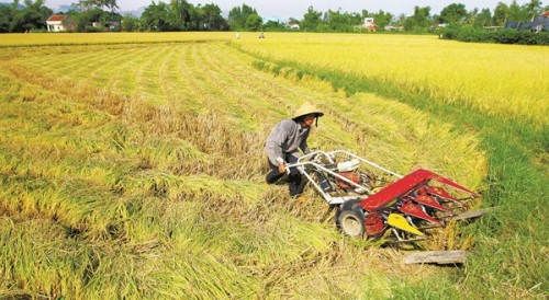 Tín dụng tam nông vẫn là điểm nhấn chính sách