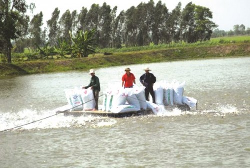 Nối dài những chuỗi liên kết