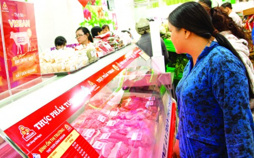 IPO Vissan: Mua hay chờ?