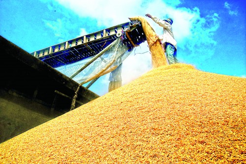 Tiếp sức cho nông nghiệp, nông thôn