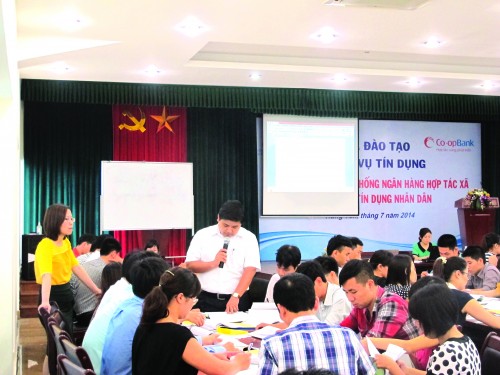 Ngân hàng hợp tác: Khẳng định vai trò ngân hàng của các QTDND