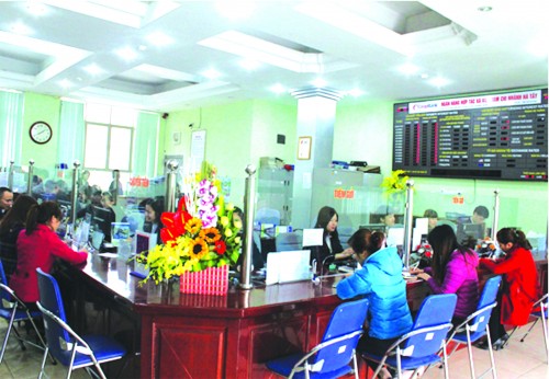 Điểm tựa vững vàng từ tái cấu trúc