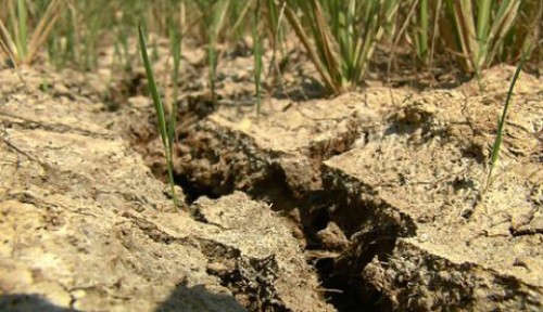 Chủ động giãn nợ ở các tỉnh chịu thiên tai Chủ động giãn nợ ở các tỉnh chịu thiên tai