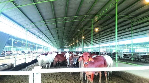 Hà Tĩnh mình thương… Hà Tĩnh mình thương…