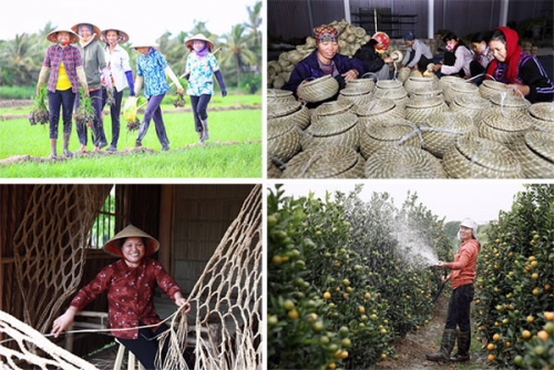 Hơn 3,5 triệu phụ nữ nghèo được vay vốn từ Ngân hàng Chính sách xã hội