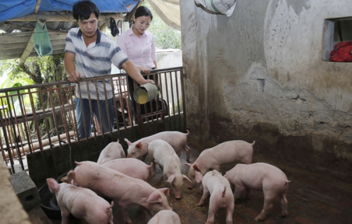 Tín dụng chính sách ở huyện thuần nông