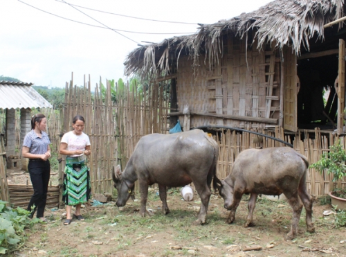 Hiệu quả trong công tác giảm nghèo ở Phú Lương