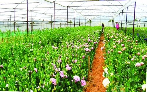 Nhiều giải pháp kiểm soát dòng chảy tín dụng