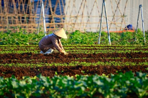 BAC A BANK triển khai nhiều chương trình cho vay linh hoạt BAC A BANK triển khai nhiều chương trình cho vay linh hoạt