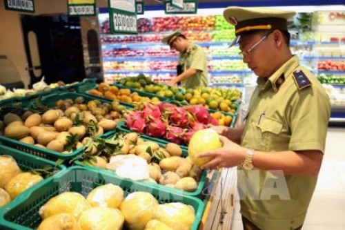 Hải quan đã hướng dẫn thực hiện Nghị định 15 về an toàn thực phẩm