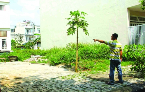 Bất động sản Đà Nẵng vào đợt sóng mới