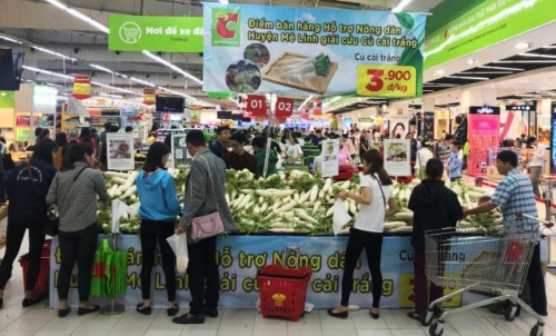 Big C hỗ trợ nông dân bán củ cải trắng