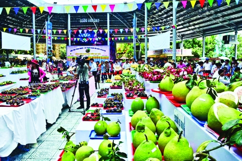 Hàn Quốc - thị trường khó tính Hàn Quốc - thị trường khó tính